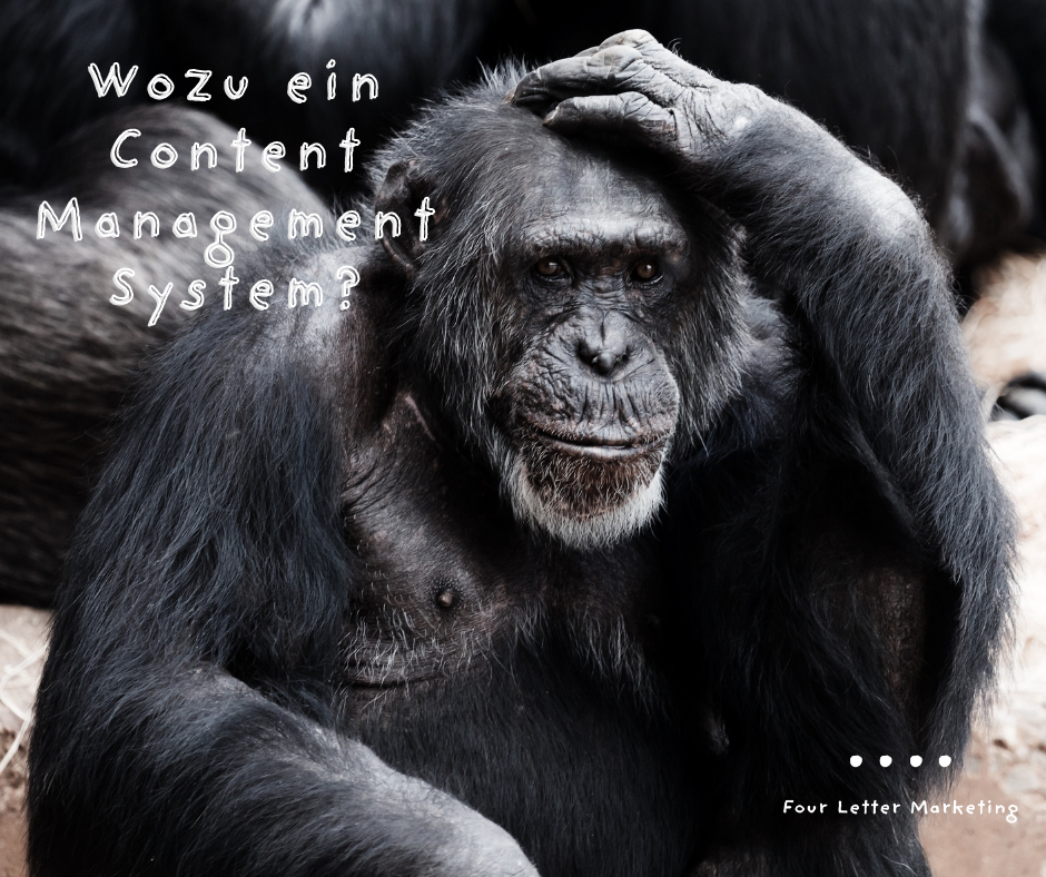 Wozu ein Content Management System?