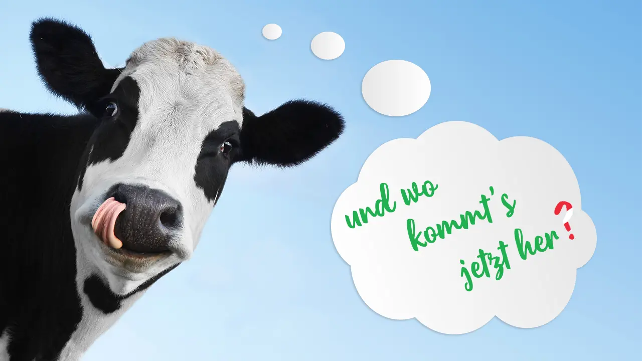 Contentplan: Und wo kommts jetzt her?