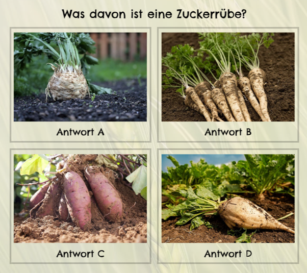 Wo kommts her mikroumfragen